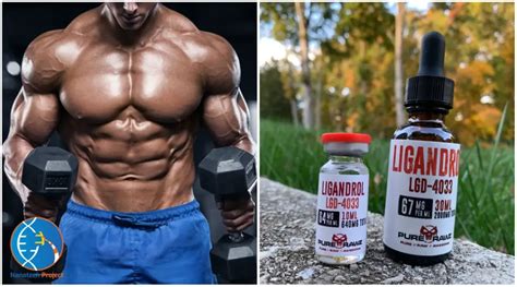 lgd 4033 results|lgd 4033 daily dosage.